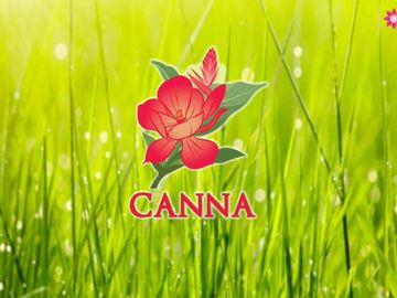 Hunian Murah Terkeren di Paramount Petals, Cluster Canna