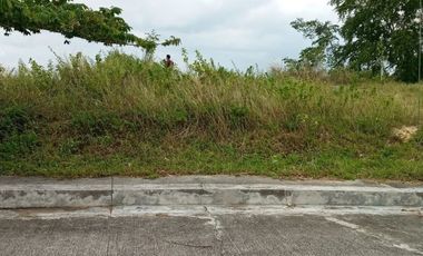 320 Sqm Elevated Lot for Sale in Consolacion Cebu with Overlooking Mountain Views