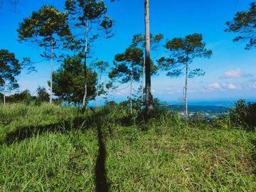 Dijual Tanah Strategis dibangun Villa/Hotel Kemuning Karanganyar