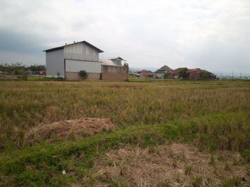 6584 M2 Tanah Sawah, Desa Cimerang, Padalarang, Bandung Barat