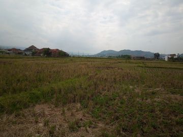 6584 M2 Tanah Sawah, Desa Cimerang, Padalarang, Bandung Barat