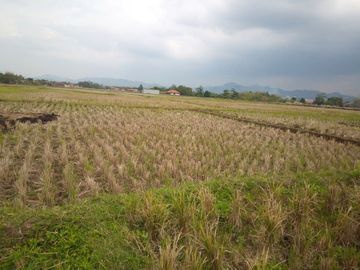 6584 M2 Tanah Sawah, Desa Cimerang, Padalarang, Bandung Barat