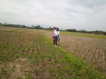 6584 M2 Tanah Sawah, Desa Cimerang, Padalarang, Bandung Barat