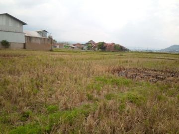 6584 M2 Tanah Sawah, Desa Cimerang, Padalarang, Bandung Barat