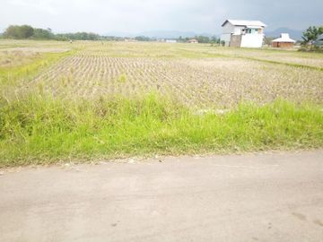 6584 M2 Tanah Sawah, Desa Cimerang, Padalarang, Bandung Barat