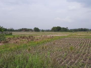 6584 M2 Tanah Sawah, Desa Cimerang, Padalarang, Bandung Barat