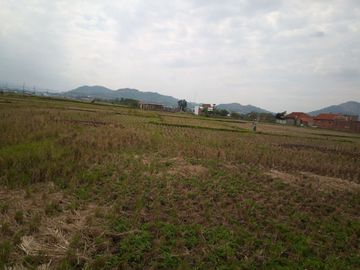 6584 M2 Tanah Sawah, Desa Cimerang, Padalarang, Bandung Barat