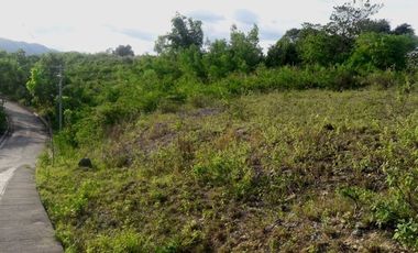 Affordable 195 Sqm Elevated Lot for Sale in Consolacion Cebu with Mountain View