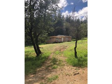 EN VENTA EXCELENTE CHACRA DE 2 HA CON 2 CASAS, 2 DPTOS Y QUINCHO CH143