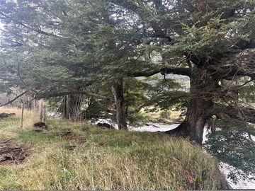 Hermosa Parcela en venta en Aysén, sector Mañihuales.