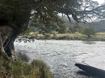 Hermosa Parcela en venta en Aysén, sector Mañihuales.