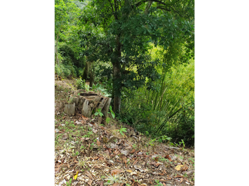 SE VENDE FINCA MONTENEGRO SECTOR LA MONTAÑA