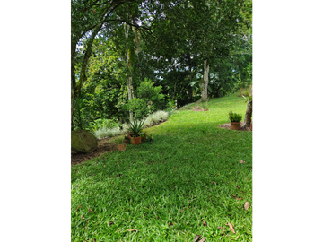 SE VENDE FINCA MONTENEGRO SECTOR LA MONTAÑA