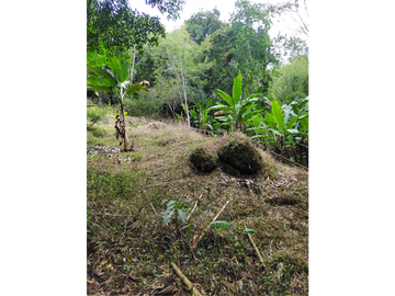 SE VENDE FINCA MONTENEGRO SECTOR LA MONTAÑA