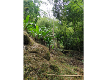 SE VENDE FINCA MONTENEGRO SECTOR LA MONTAÑA