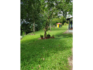 SE VENDE FINCA MONTENEGRO SECTOR LA MONTAÑA