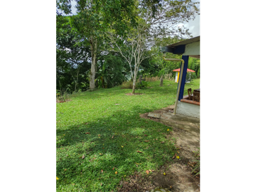 SE VENDE FINCA MONTENEGRO SECTOR LA MONTAÑA