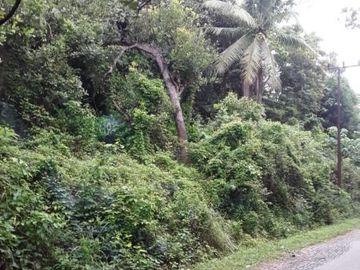 Tanah abeli strategis dekat pelabuhan bungkutoko dan terminal konteiner pelindo 4 kota kendari