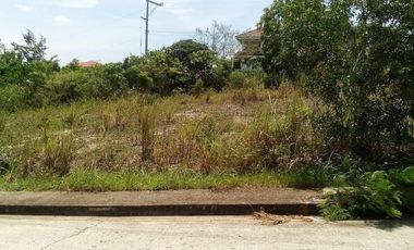 163 Sqm SUBDIVISION Lot for Sale in Bulacao Talisay Cebu City VISTA GRANDE With SEAVIEW