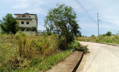 163 Sqm SUBDIVISION Lot for Sale in Bulacao Talisay Cebu City VISTA GRANDE With SEAVIEW