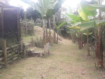 VENTA de FINCAS en PEREIRA