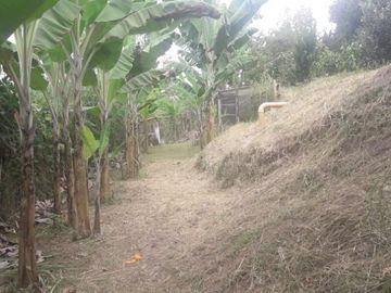 VENTA de FINCAS en PEREIRA