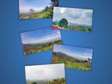 Aulia Laswi City View