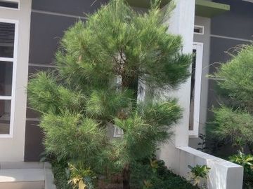 D. mahaka 2 menit ke tempat ibadah