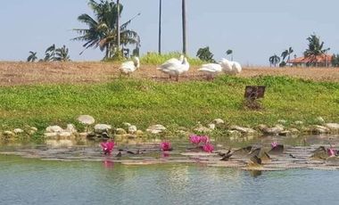 Land for sale in ETON City Sta. Rosa Laguna, near Nuvali, Paseo, Solen, Greenfield, Pramana,Tagaytay, Batangas, Alabang
