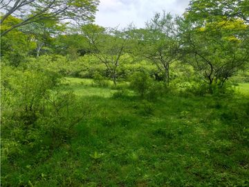 ESPLENDIDO RANCHO EN COL. CUAUHTÉMOC - VILLAFLORES