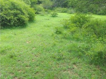 ESPLENDIDO RANCHO EN COL. CUAUHTÉMOC - VILLAFLORES