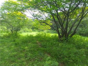 ESPLENDIDO RANCHO EN COL. CUAUHTÉMOC - VILLAFLORES