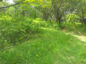ESPLENDIDO RANCHO EN COL. CUAUHTÉMOC - VILLAFLORES