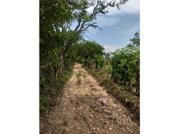 ESPLENDIDO RANCHO EN COL. CUAUHTÉMOC - VILLAFLORES