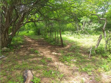 ESPLENDIDO RANCHO EN COL. CUAUHTÉMOC - VILLAFLORES