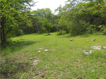 ESPLENDIDO RANCHO EN COL. CUAUHTÉMOC - VILLAFLORES