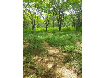 ESPLENDIDO RANCHO EN COL. CUAUHTÉMOC - VILLAFLORES