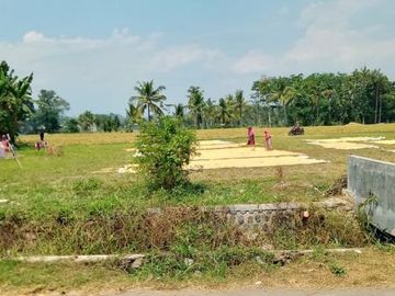 tanah kavling sipa bangun kampus dreamland jember