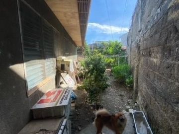 Hopuse and lot for sale in Talisay City, Fairview Village with old Bungalow house lot area:476 sqm