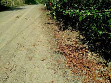 Venta Finca Vacacional con Casa  en Manabí, Cantón Flavio Alfaro (LC)