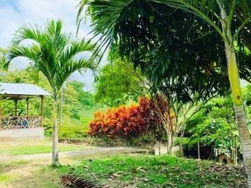 Venta Finca Vacacional con Casa  en Manabí, Cantón Flavio Alfaro (LC)