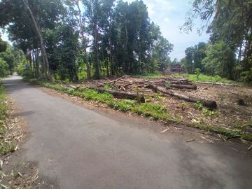 Joglo Cantik Klasik Jawa Di Dekat Exit Toll Prambanan