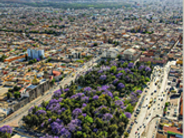 DEPARTAMENTOS EN VENTA TORRE ALAMEDA SLP