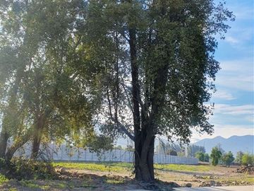 Terreno Construccion en Venta en Ramon Subercaseaux 1200 cercano a calle los Almendros