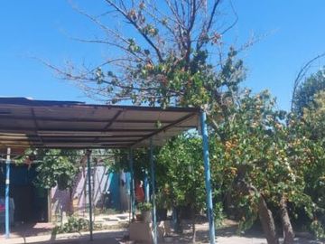 sitio de 400 m2 con casa en el bosque