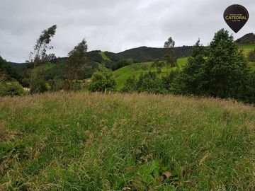 Terreno de venta en Tarqui Gullanzhapa – código:7799