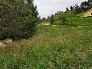 Terreno de venta en Tarqui Gullanzhapa – código:7799
