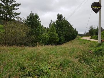 Terreno de venta en Tarqui Gullanzhapa – código:7799