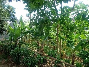 Tanah unik Bandung Timur Cinunuk SHM