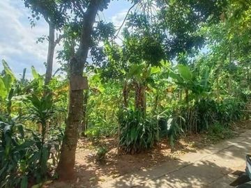 Tanah unik Bandung Timur Cinunuk SHM